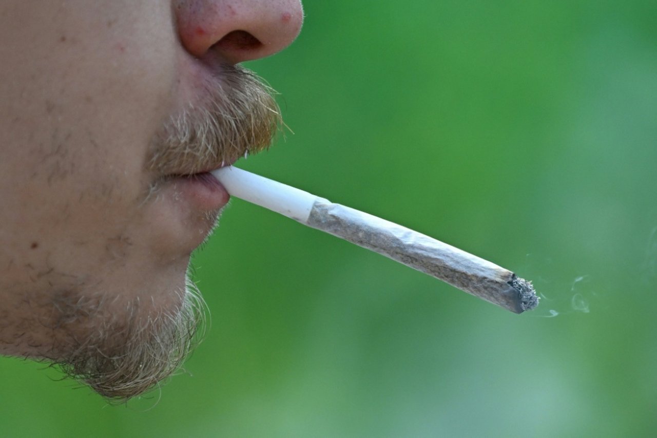 Young Germans consume more cannabis than ten years ago