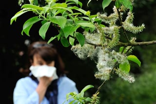 Rising Pollen Levels Expected Across Germany Next Week