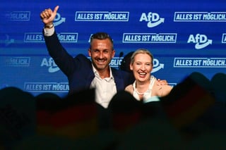 What Would Happen If the AfD Led German Government?
