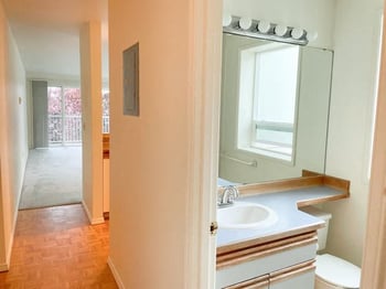 A bathroom with a sink, mirror, and toilet.