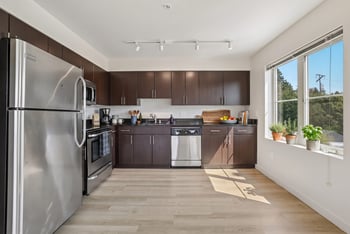 Kitchen with dark cabinetry, stainless steel appliances, light wood-style flooring, and a sunlit side window.