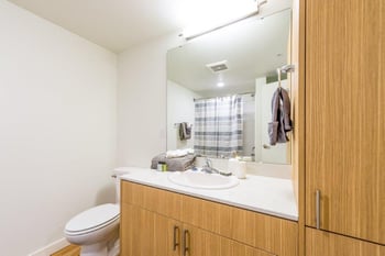 Bright living room in a Lillehammer Apartments unit, Seattle, WA, featuring modern furnishings and abundant natural light.