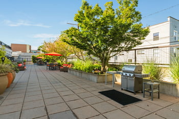 Bright living area at Gilbert House Apartments, Seattle, WA, with open-concept kitchen and large windows.