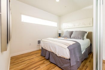 Bright living room at Lillehammer Apartments, Seattle WA; sunlit space, hardwood floors, large windows, ideal for rent.