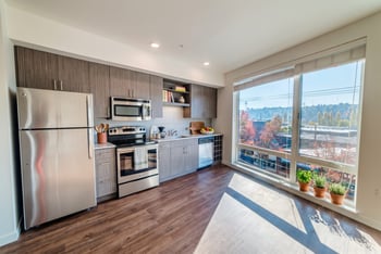 Modern kitchen with stainless steel appliances, grey wood cabinetry, and large bright window.