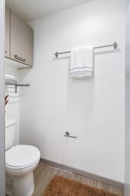 a bathroom with a toilet and a towel rack and a shower