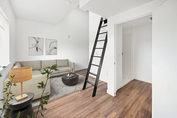 A living room with a couch, a table, a plant, and a ladder.