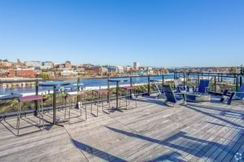 Robins Nest apartment in Seattle, WA — sunlit living room with hardwood floors and large windows.