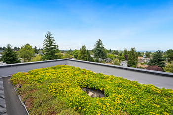 A green roof with yellow flowers on a building.