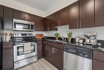 Kitchen with dark espresso cabinets, black countertops, and stainless steel appliances at REV Fremont.