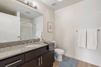 Bathroom with granite counter vanity, dark cabinets, large mirror, and toilet beside a towel bar.