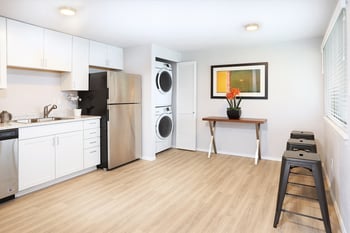 a kitchen and living room with a washer and dryer and a table with a plant
