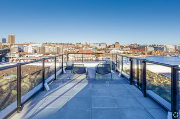 Robins Nest apartment living room in Seattle, WA with bright windows and cozy seating.