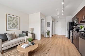 Open living room with sofa, coffee table, and adjacent kitchen featuring dark cabinets and wood-style flooring.