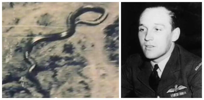 congo snake, katanga giant snake, 1959 photo, remy van lierde