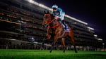 Romantic Warrior, Riyadh, Horse Racing, Casino News, Gambling News, Sports Betting, Saudi Arabia, KSA