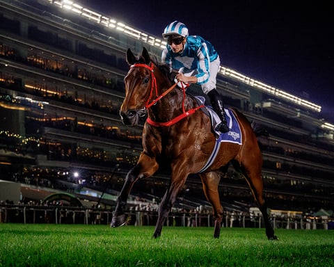 Romantic Warrior, Riyadh, Horse Racing, Casino News, Gambling News, Sports Betting, Saudi Arabia, KSA