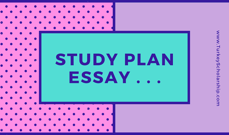 Study Plan Essay for Scholarship Application in 2023