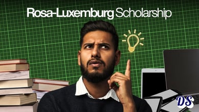 Rosa Luxemburg PhD Scholarship 2027 10 Steps of Application Submission Explained