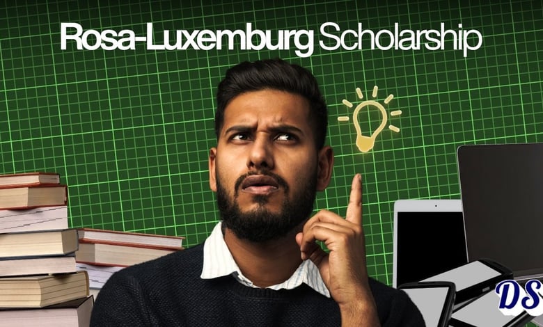 Rosa Luxemburg PhD Scholarship 2027 10 Steps of Application Submission Explained