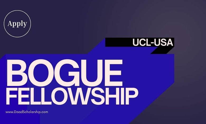 Bogue Fellowships 2024 in USA