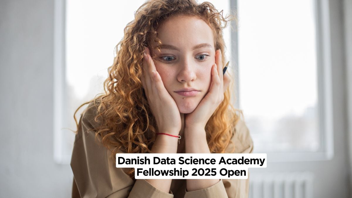 Danish Data Science Academy Fellowship 2025 Open