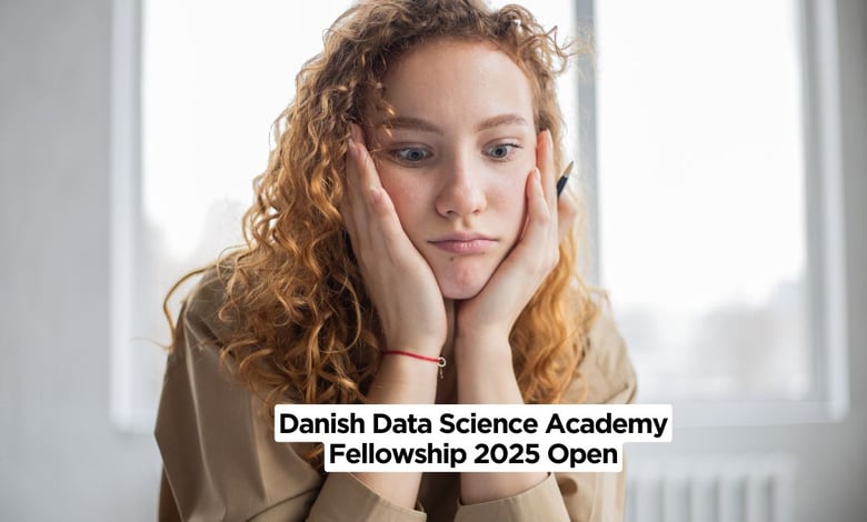 Danish Data Science Academy Fellowship 2025 Open