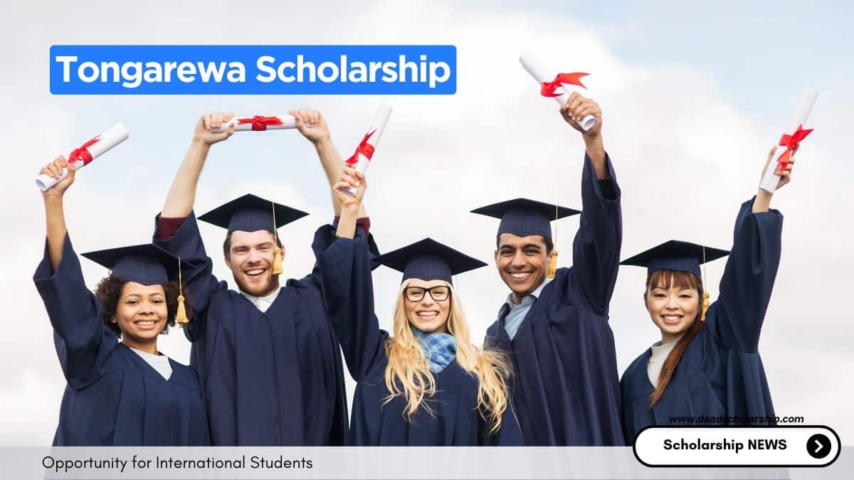 Tongarewa International Scholarship for Spring 2025 Intake
