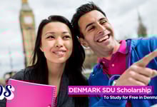 SDU’s Denmark Scholarship 2026 Open to Study for free in Denmark