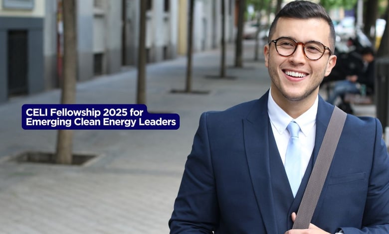 CELI Fellowship 2025 for Emerging Clean Energy Leaders