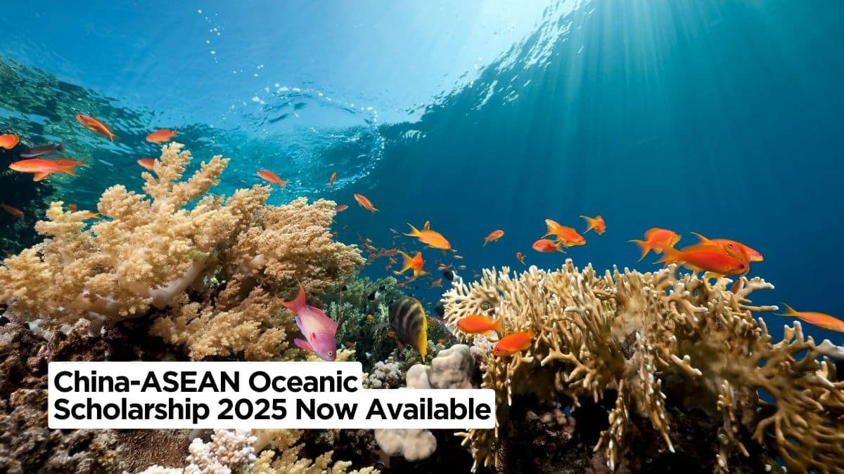 China-ASEAN Oceanic Scholarship 2025 Now Available