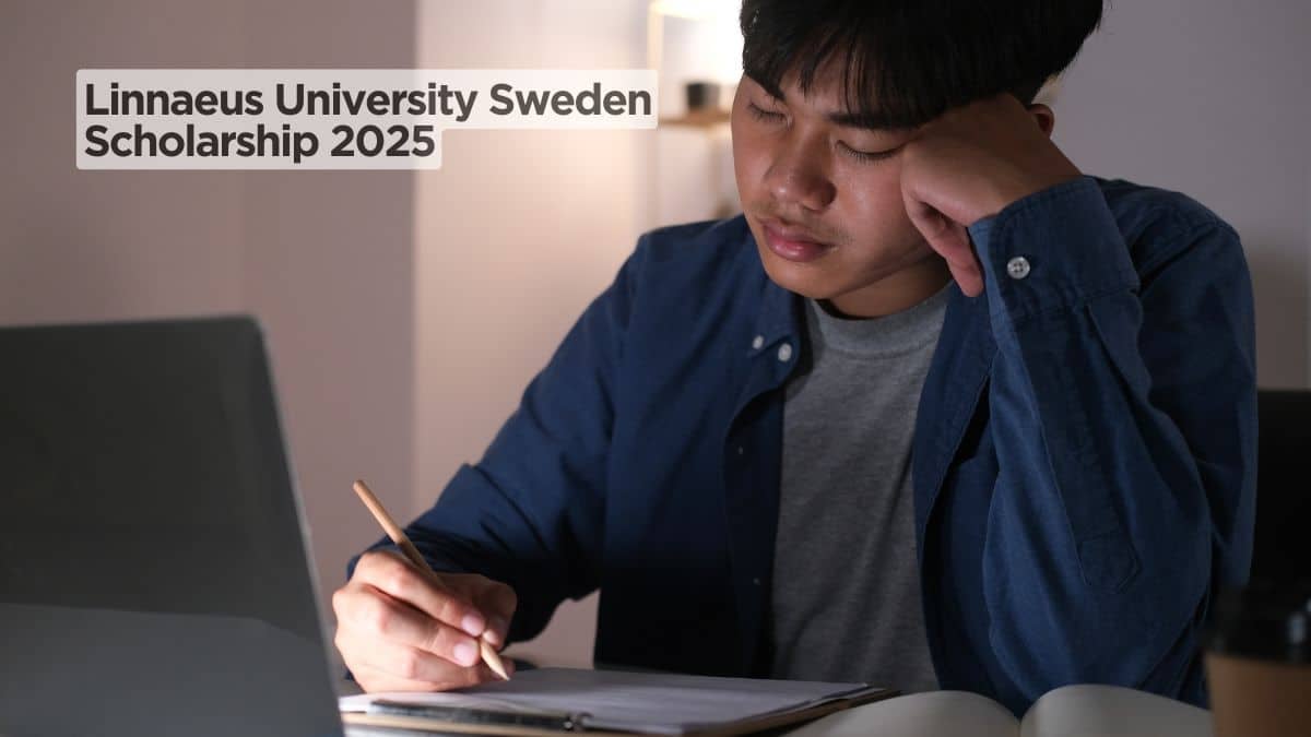 Linnaeus University Sweden Scholarship 2025