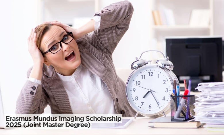 Erasmus Mundus Imaging Scholarship 2025 (Joint Master Degree)
