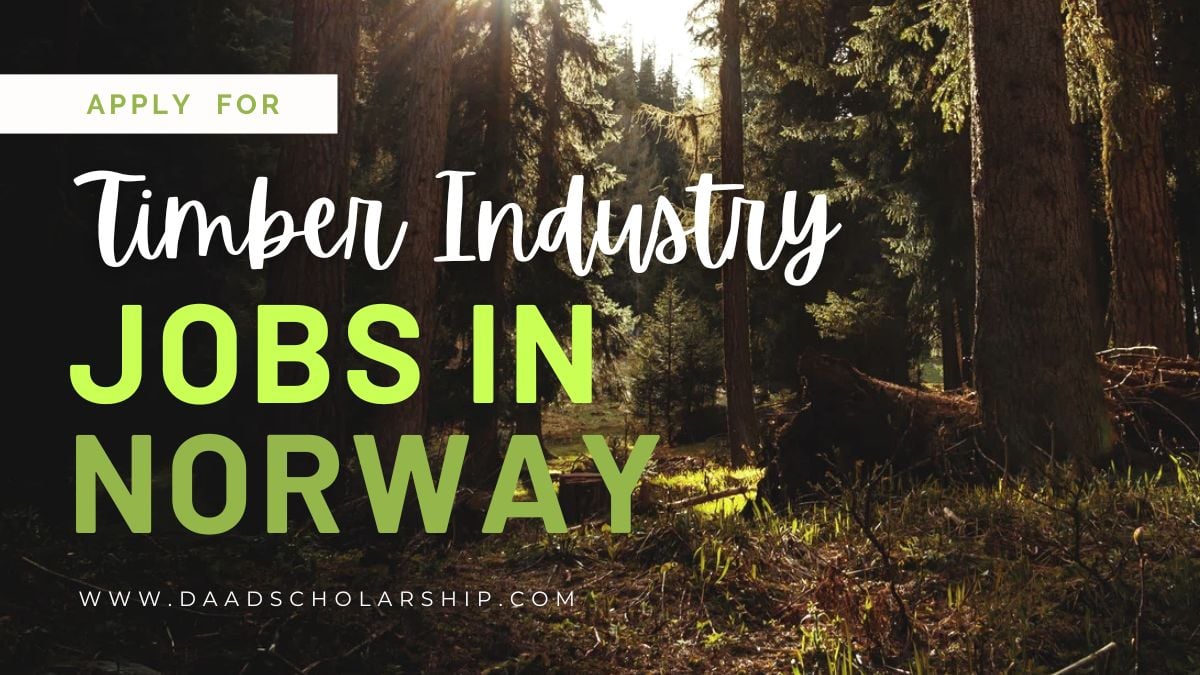 Norway Timber Industry Jobs With Work Permit in 2024
