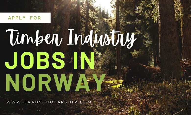 Norway Timber Industry Jobs With Work Permit in 2024
