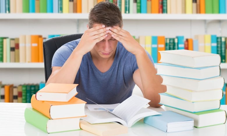 Cultural Managers Scholarship in Peru 2025 Call