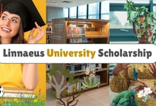 Linnaeus University Scholarship 2026 in Sweden Opens for International Master’s Students