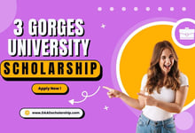 China Three Gorges University Opens 2026 Hubei Provincial Scholarship Applications