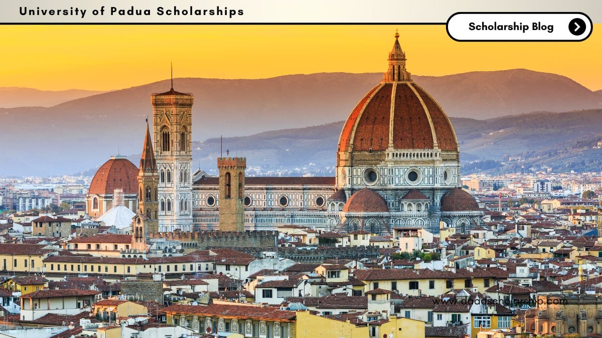 University of Padua Regione Veneto Scholarships 2024