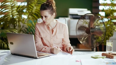 Bundestag’s International Parliamentary Scholarships (IPS) 2027 Available