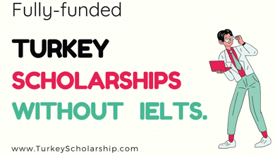 Turkey Scholarships Without IELTS in 2023: Online Application Submission