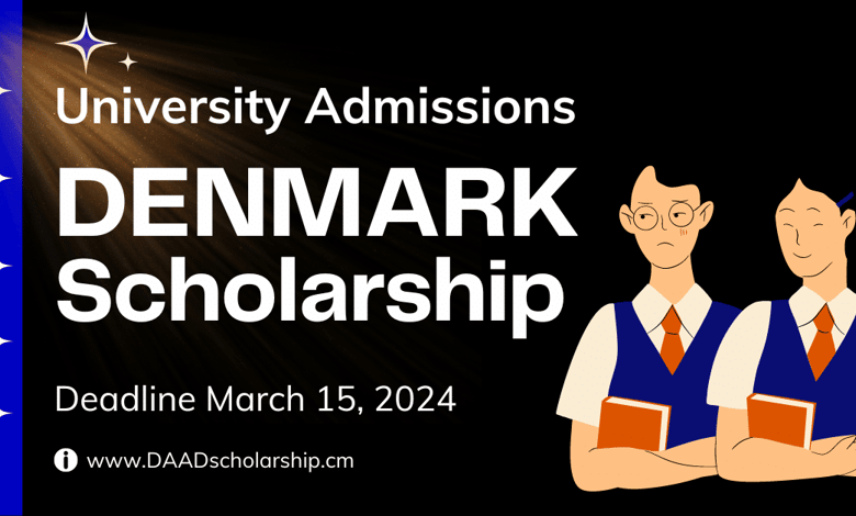 Denmark University Admissions 2024 With Scholarships