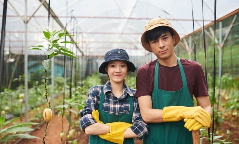 Canadian Farm Workers Jobs With Free Work VISA - No LMIA, No IELTS