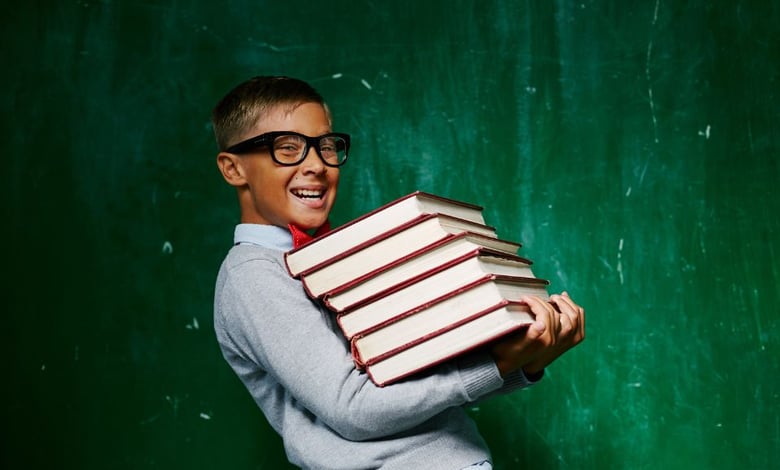 PhD Scholarship in Molecular Medicine 2025 Batch at Martin Luther University Halle-Wittenberg (MLU)