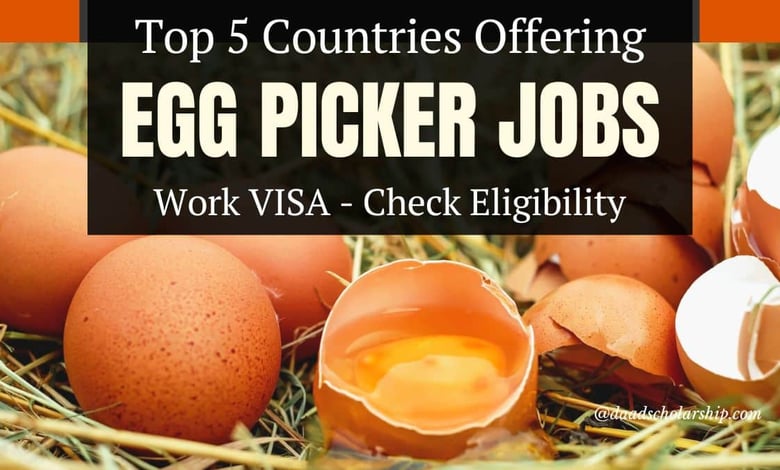 5 Countries Offering Egg Picking Jobs With Work VISA in 2024 - Check Your Qualification