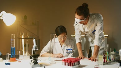 Canada Is Paying You $120,000 to Do Your PhD - Graduate Research PhD Program Admissions Open