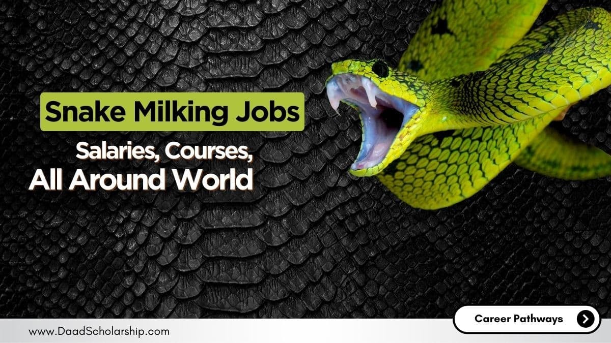 Snake Milking Occupation Jobs, Salaries, Courses, and Eligibility Requirements (Around World)