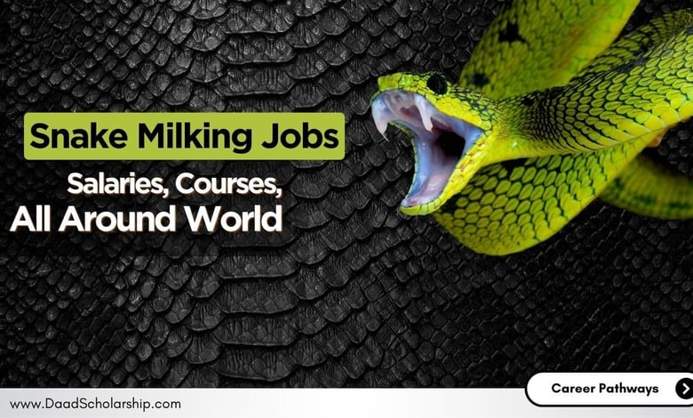 Snake Milking Occupation Jobs, Salaries, Courses, and Eligibility Requirements (Around World)