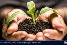 Swiss Re Foundation Is Looking for Climate Startups in 8 Global Cities