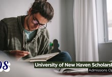 University of New Haven (UNH) Scholarships 2026 Open